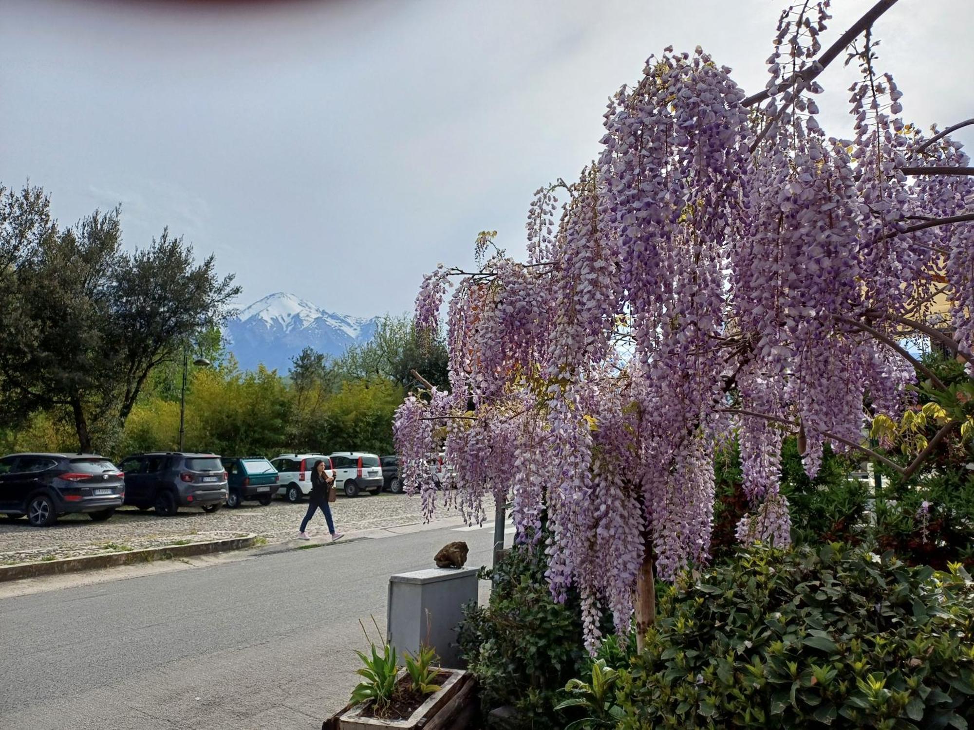 Agriturismo San Giovanni Ad Insulam Isola del Gran Sasso dʼItalia Екстериор снимка
