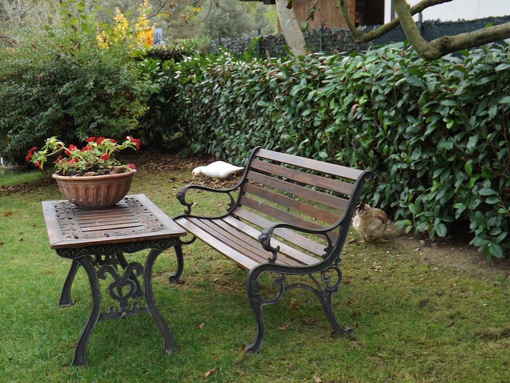 Agriturismo San Giovanni Ad Insulam Isola del Gran Sasso dʼItalia Екстериор снимка