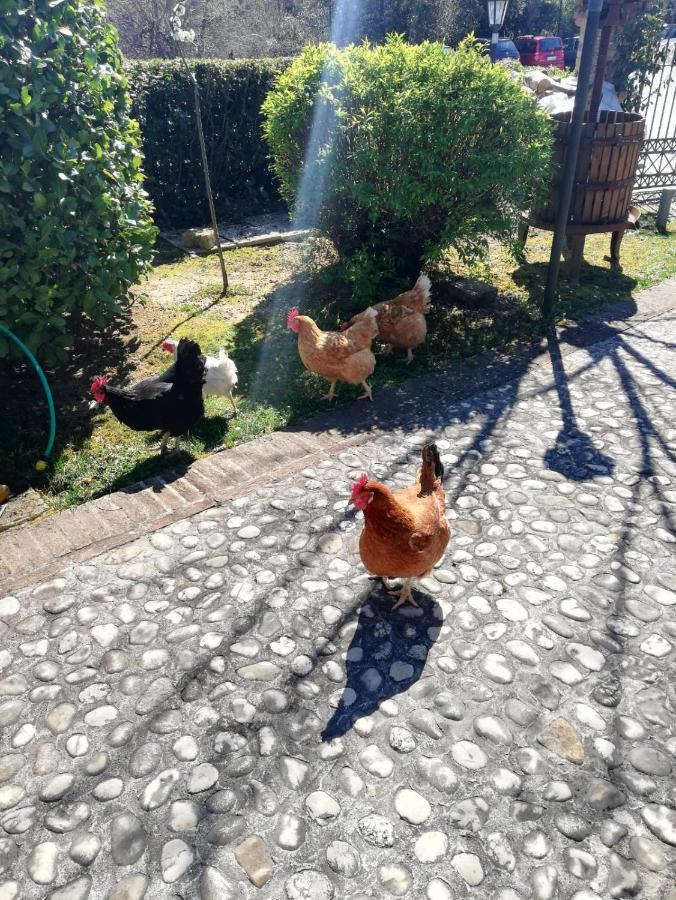Agriturismo San Giovanni Ad Insulam Isola del Gran Sasso dʼItalia Екстериор снимка